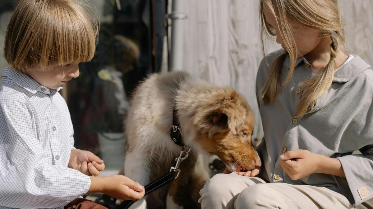 Children interact with their pet