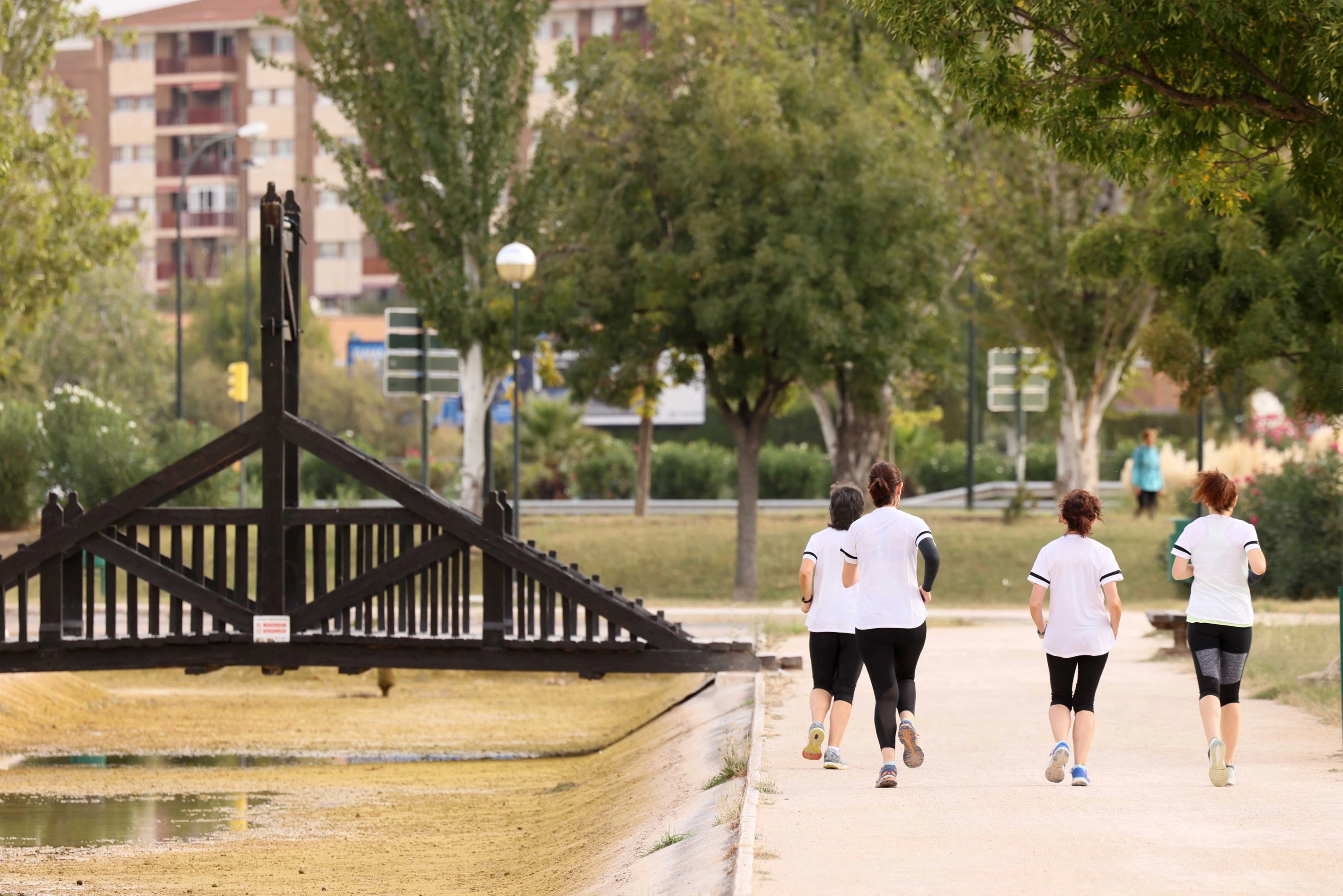 Sports training for cancer patients at the Beonactive center in Zaragoza.