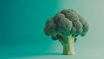 A cup of raw broccoli provides 100% of the recommended daily intake of vitamin C (Illustrative Image Infobae)